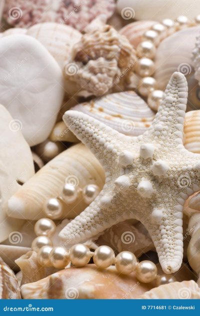 Жемчуг в ракушке