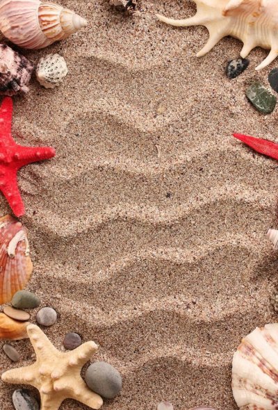 Ракушки на песке