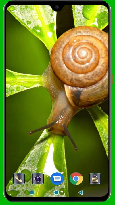 Лиственная улитка