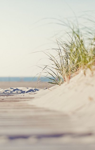 Море светлое