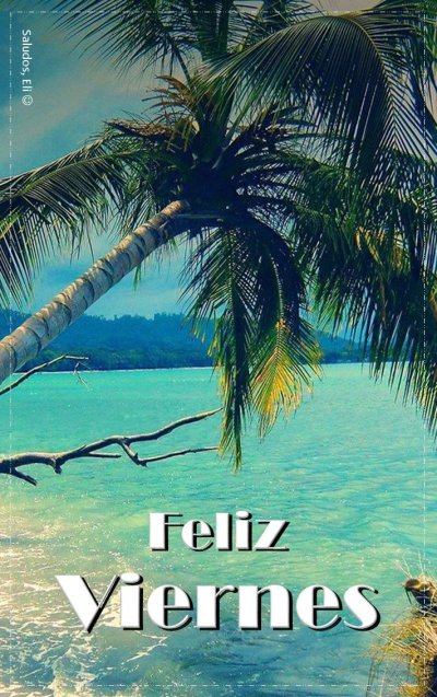 Природа пальмы