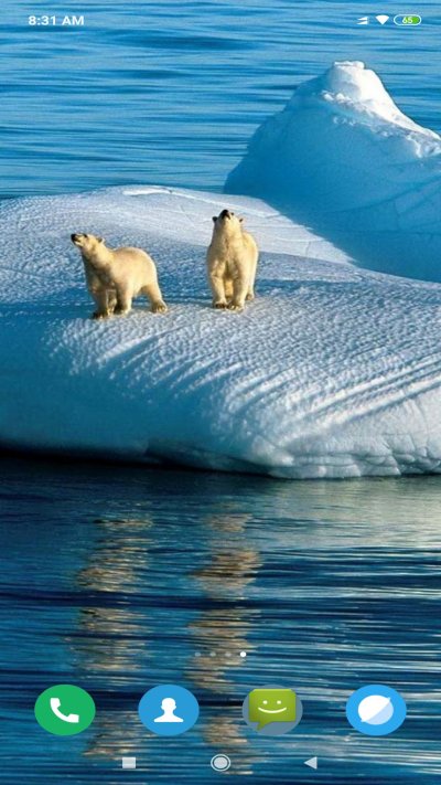 Арктика Северный Ледовитый океан