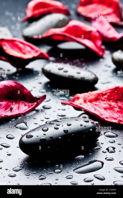 Лепестки на воде