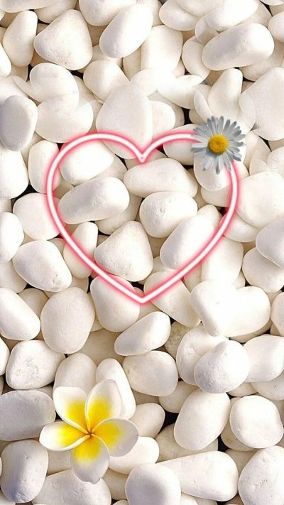 Белая галька