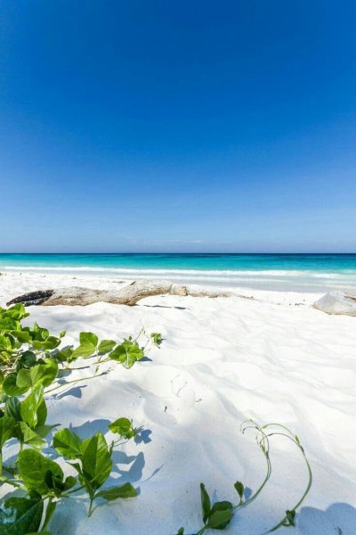 Белоснежный пляж