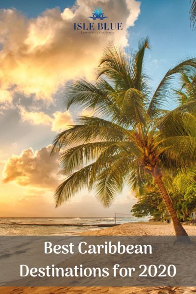 Побережье с пальмами