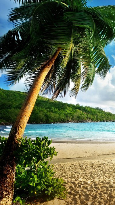 Тропический пляж