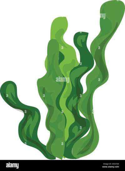 Водоросли значок