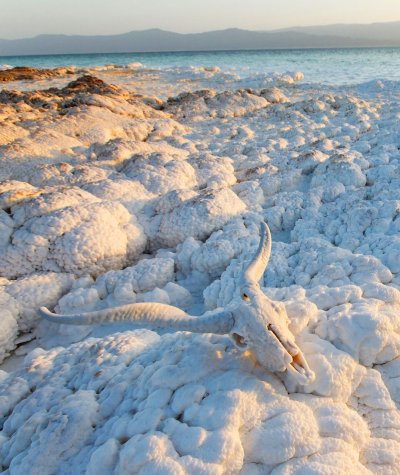 Подводная коза