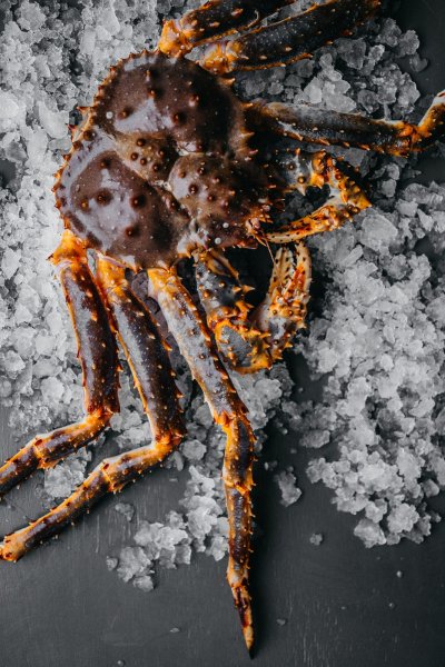 Камчатский краб коричневый