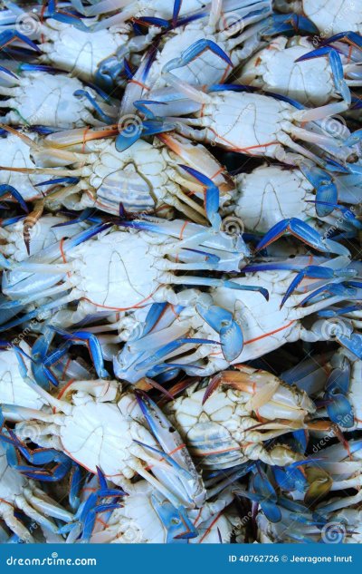 Голубой краб