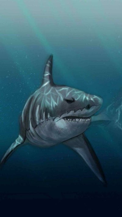 Самая большая акула в мире