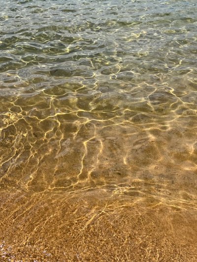 Песчаное дно