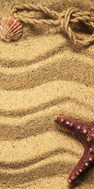 Ракушки на песке