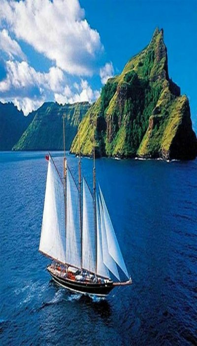 Одномачтовые парусные яхты