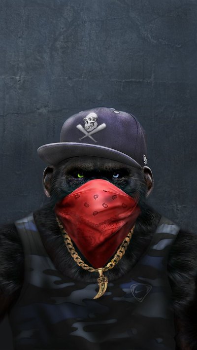 Обезьяна в бандане