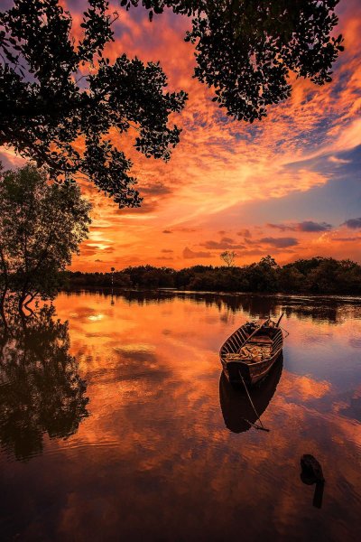 Природа закат