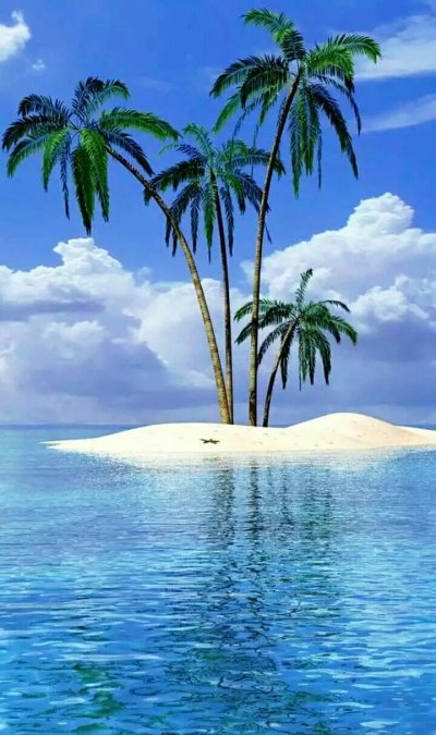 Пальмы на острове