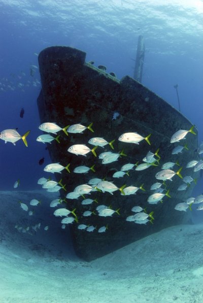 Затонувшие корабли