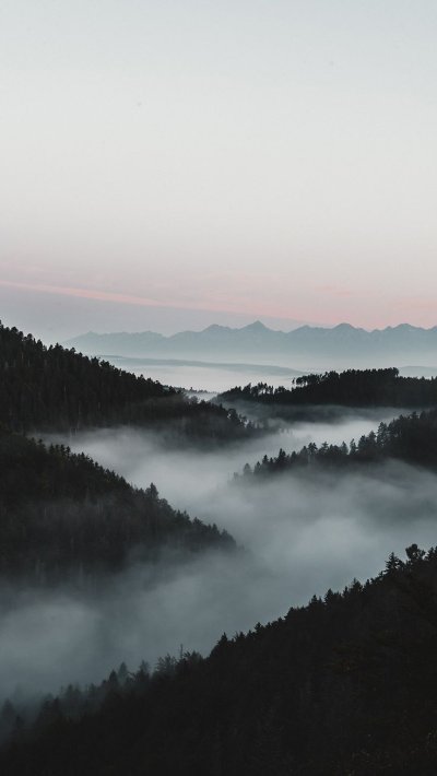 Горы в тумане