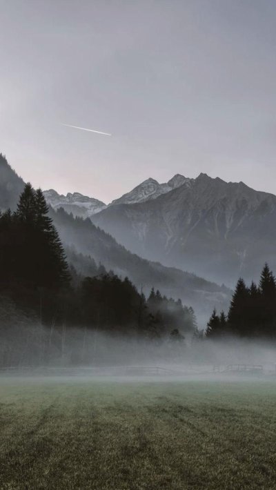 Горы туман лес Скандинавия