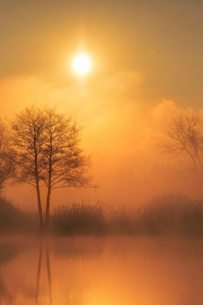 Солнце в тумане