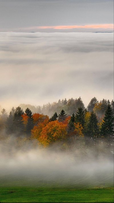 Природа туман