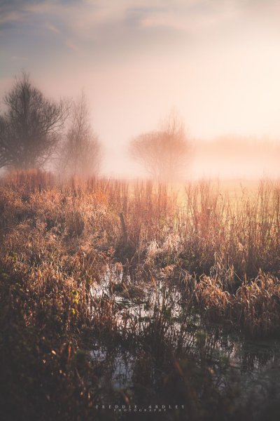 Утренний туман