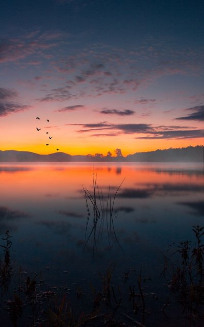 Рассвет на озере