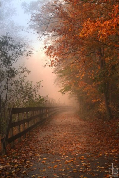 Красивое осеннее утро