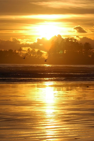 Золотой закат