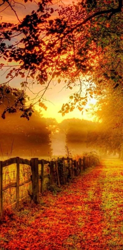 Красивая осень