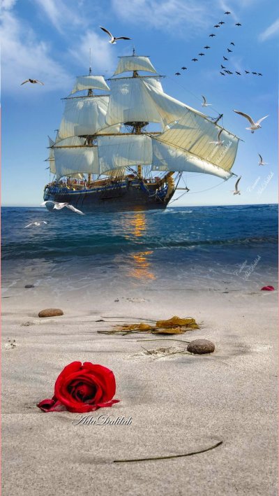 Ветер в парусах