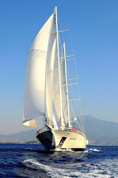 Одномачтовые парусные яхты