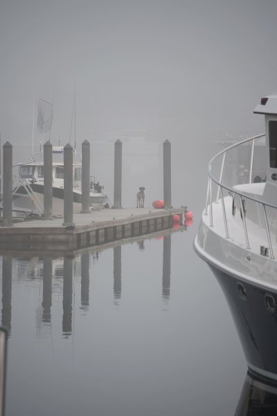 Марина Скайлайн