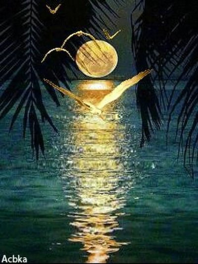 Лунная дорожка