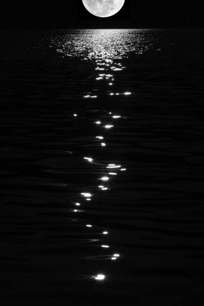 Красивая ночь