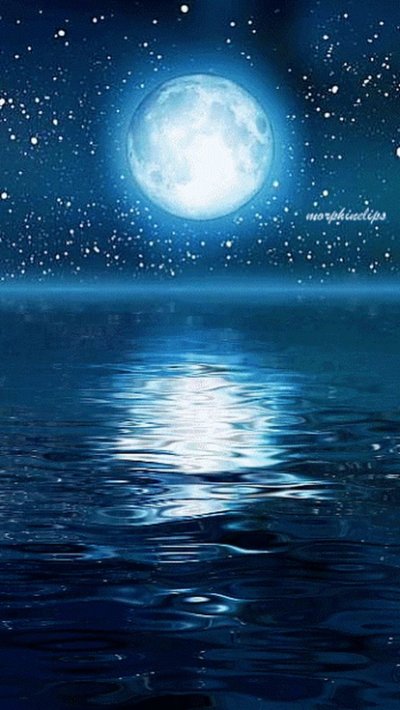 Ночное море