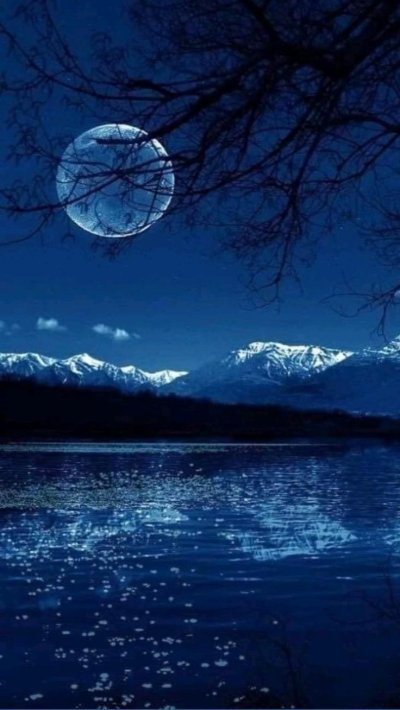 Лунная ночь