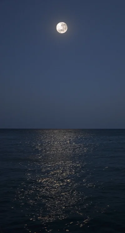 Лунная дорожка