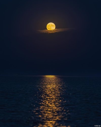 Лунная дорожка на море