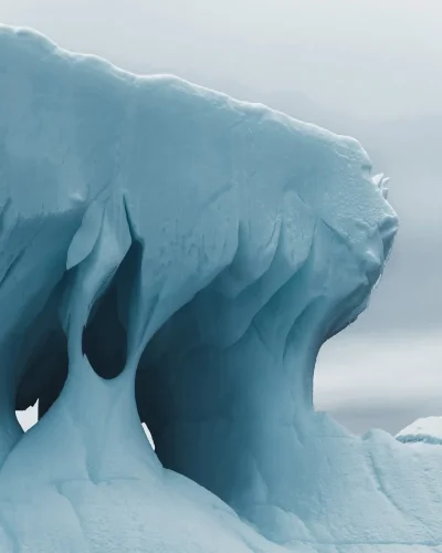 Природа Антарктиды