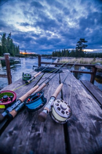 Красивая рыбалка