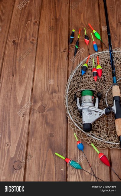 Рыболовные снасти на дереве