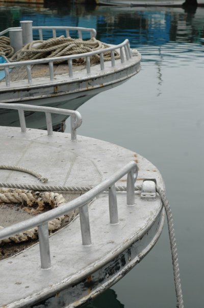 Поручни судна