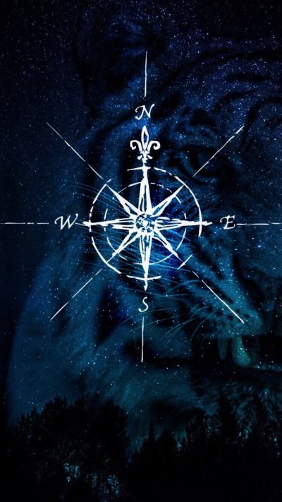 Роза ветров изображение