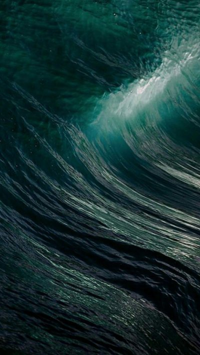 Зеленое море