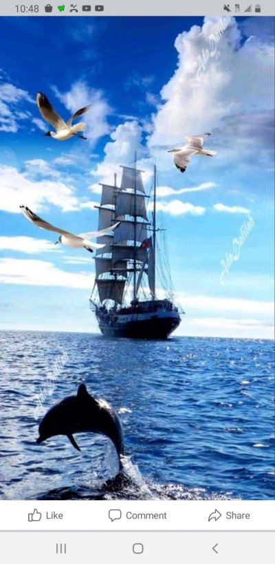 Море с дельфинами и чайками