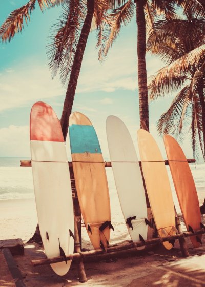 Пальмы серфы