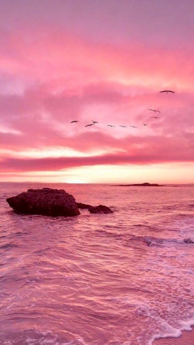 Розовый закат